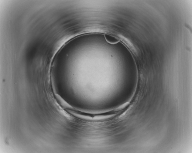 X0000099381236200805081438