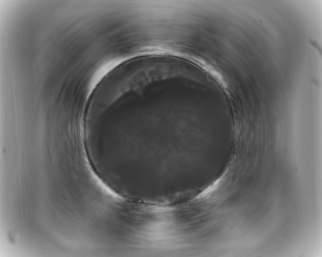 X0000099381239200805081439