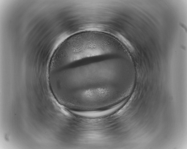 X0000099381240200805081439