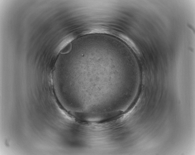 X0000099381241200805081439