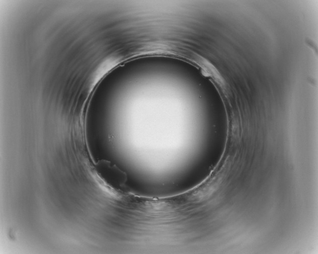 X0000099381242200805081439