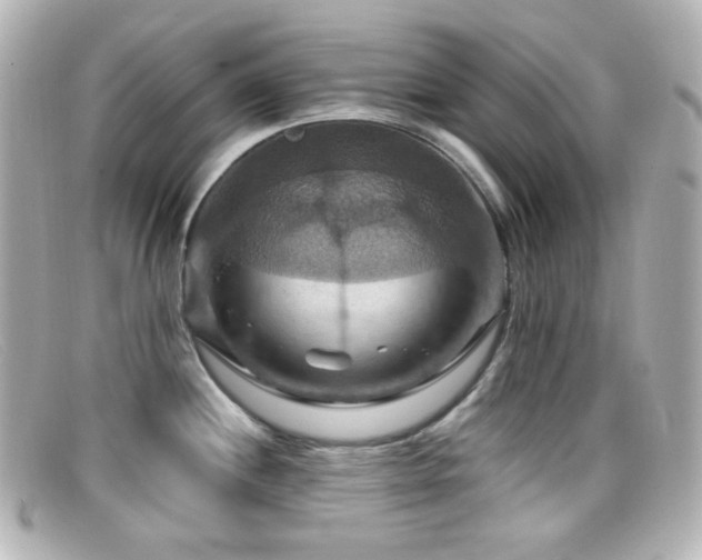 X0000099381244200805081439