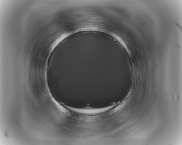 X0000099381245200805081439