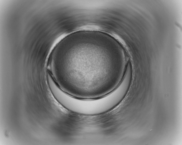X0000099381248200805081439
