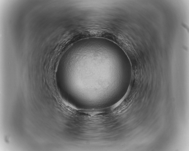 X0000099381249200805081438
