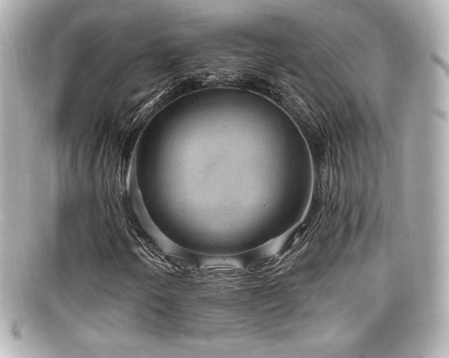 X0000099381250200805081438