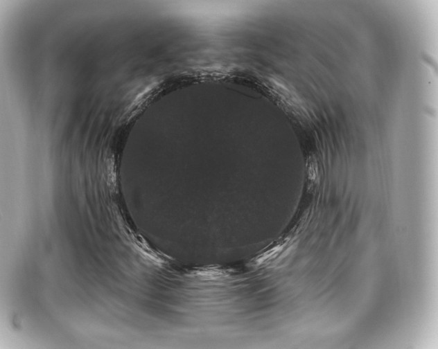 X0000099381252200805081438