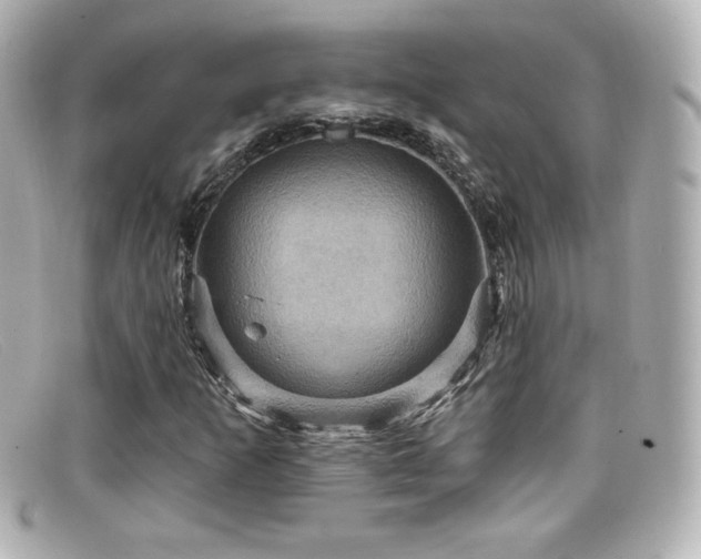 X0000099381253200805081438