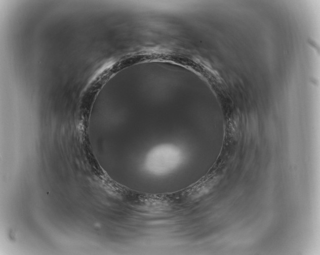 X0000099381254200805081438
