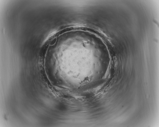 X0000099381255200805081438