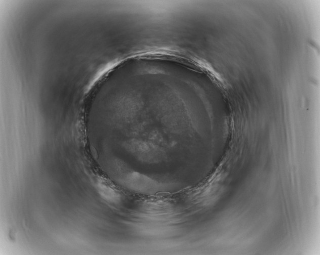 X0000099381256200805081438