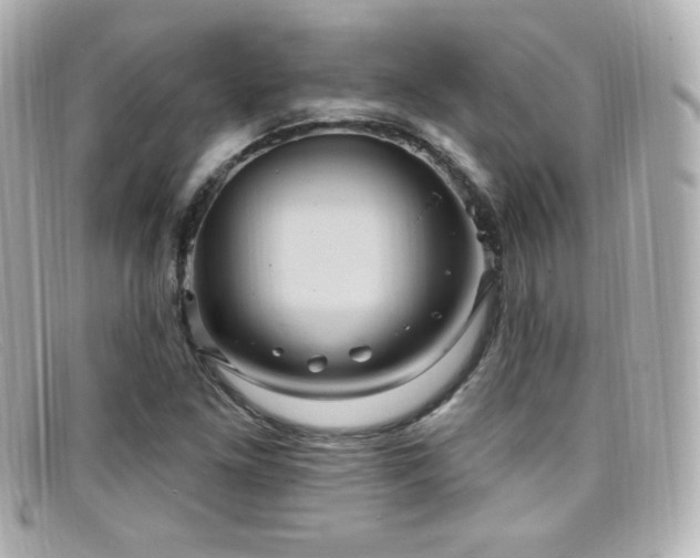 X0000099381261200805081438