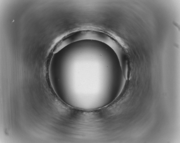 X0000099381264200805081438