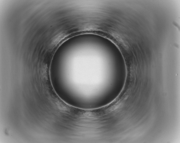 X0000099381265200805081438