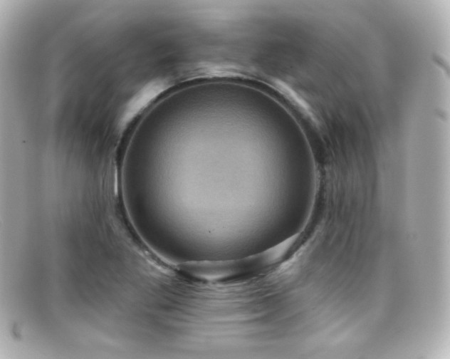 X0000099381269200805081438