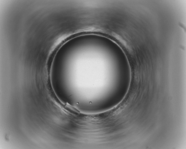 X0000099381270200805081438