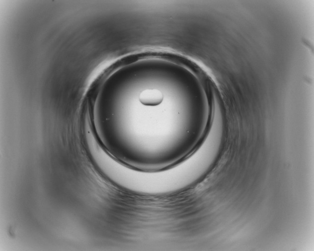 X0000099381271200805081438