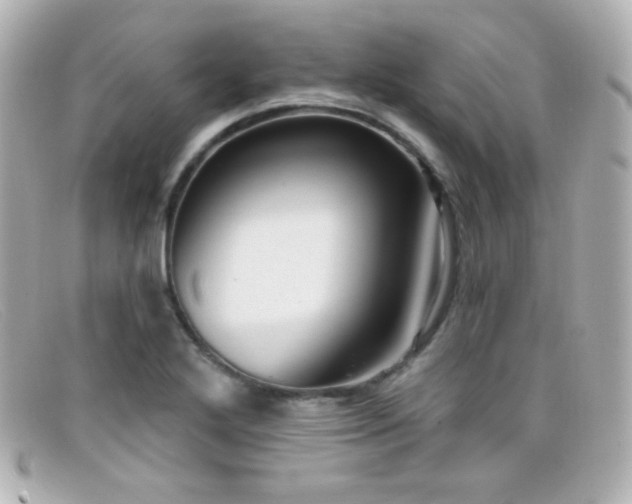 X0000099381272200805081438