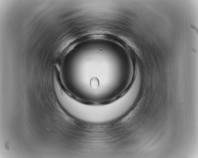 X0000099381273200805081438
