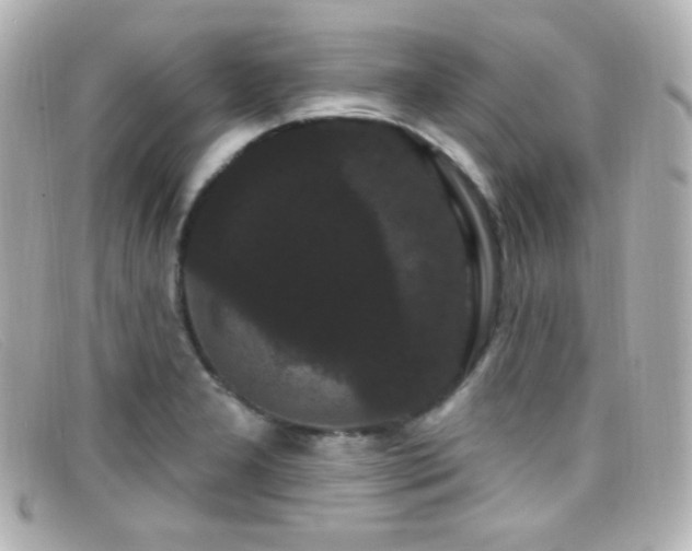 X0000099381277200805081437
