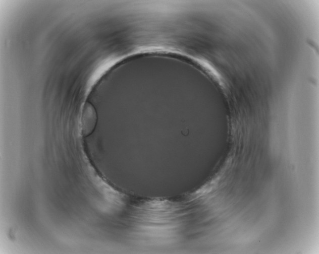X0000099381279200805081437