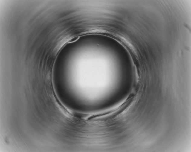 X0000099381281200805081437