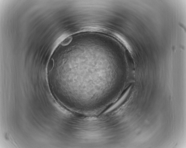 X0000099381283200805081437