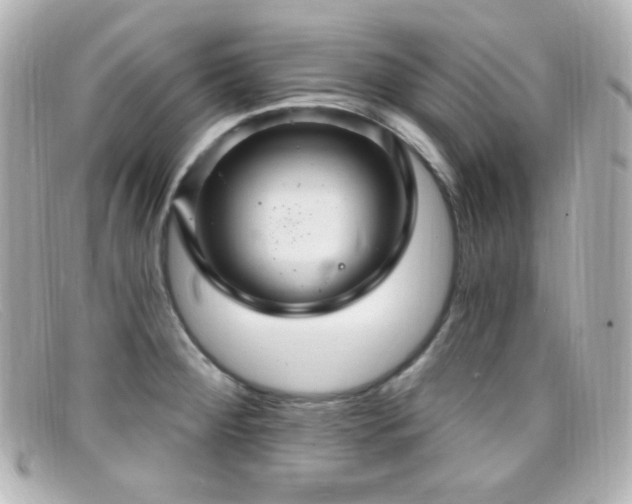 X0000099381284200805081437