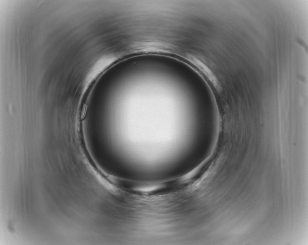 X0000099381285200805081437