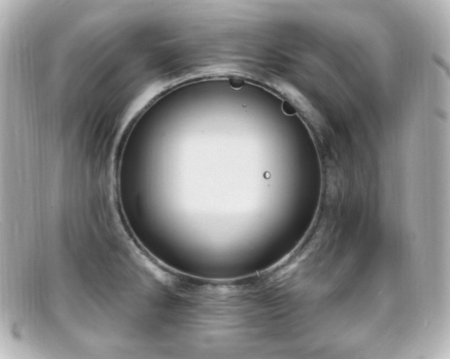 X0000099381286200805081437