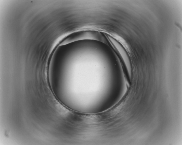 X0000099381288200805081437