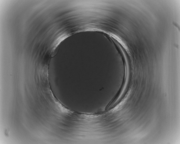 X0000099381289200805081437