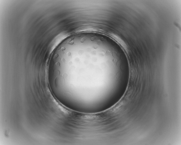 X0000099381290200805081437