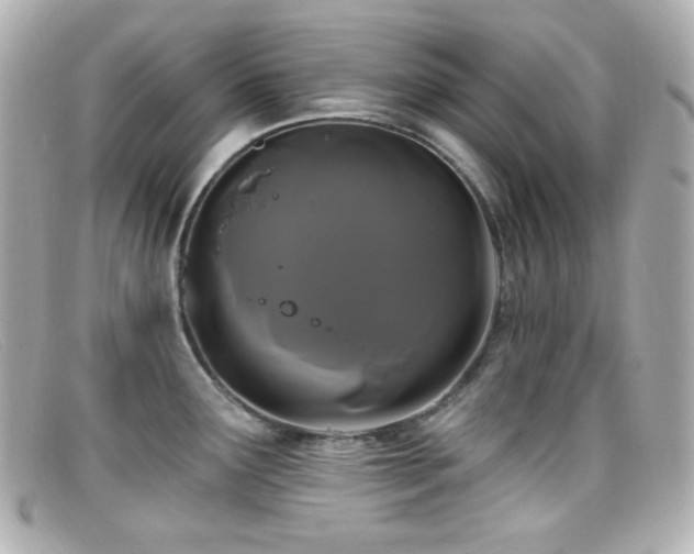 X0000099381291200805081437