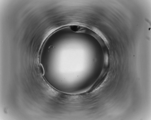 X0000099381292200805081437
