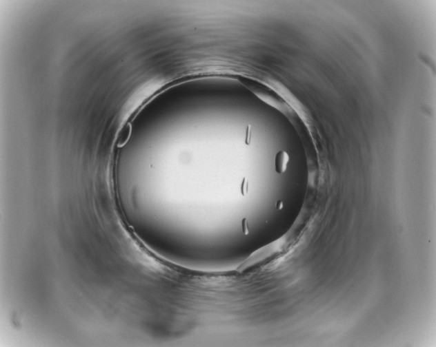 X0000099381293200805081437