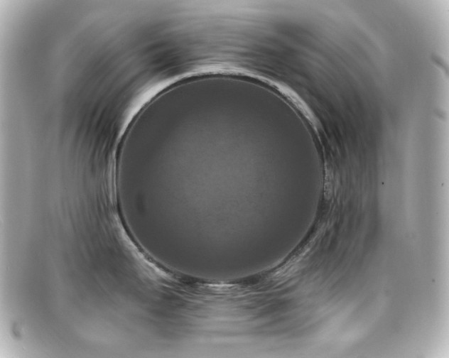 X0000099381295200805081437
