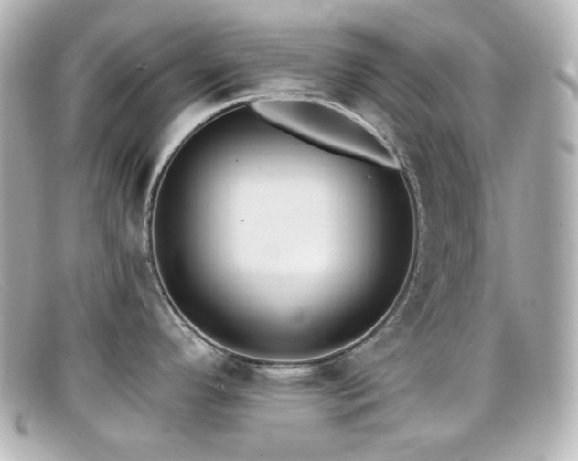 X0000099381296200805081437