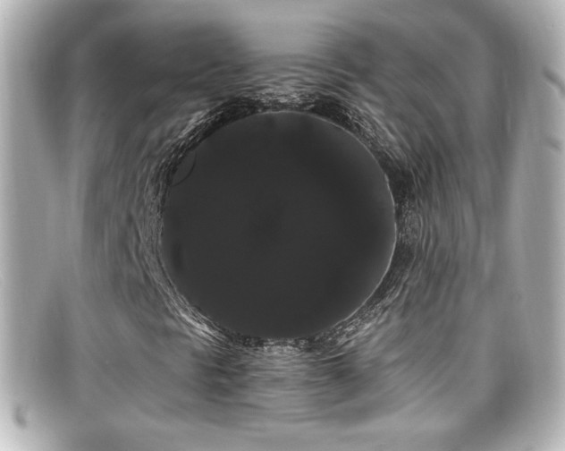 X0000099381297200805081437