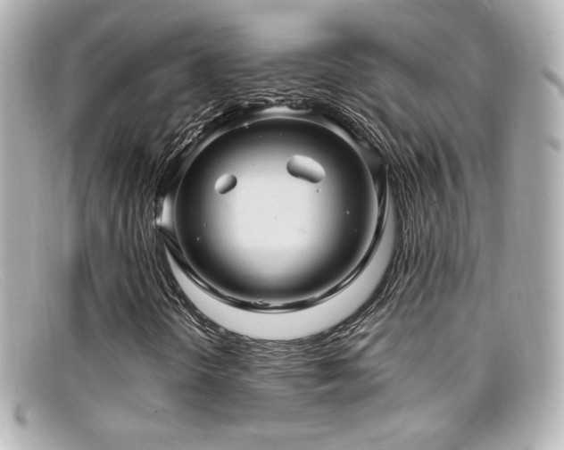 X0000099381298200805081437