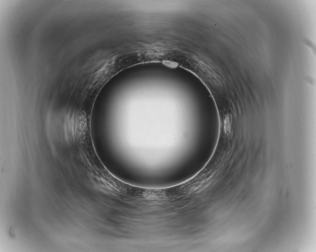 X0000099381299200805081437