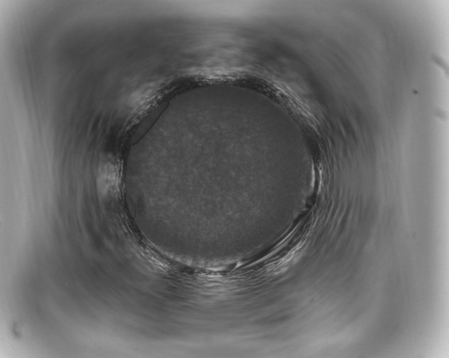 X0000099381300200805081437