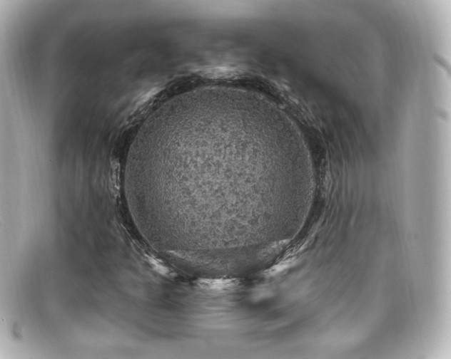 X0000099381301200805081437