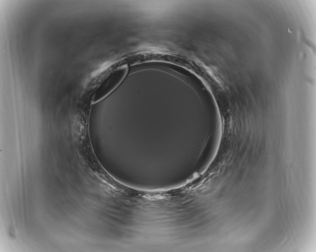 X0000099381303200805081437