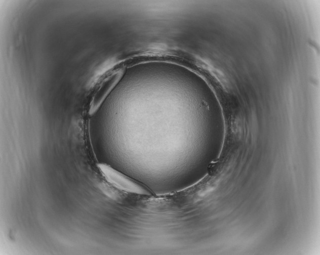 X0000099381304200805081437