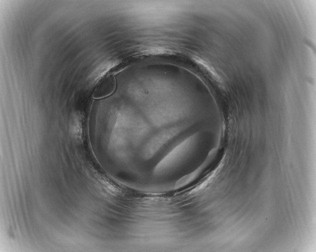 X0000099381305200805081437