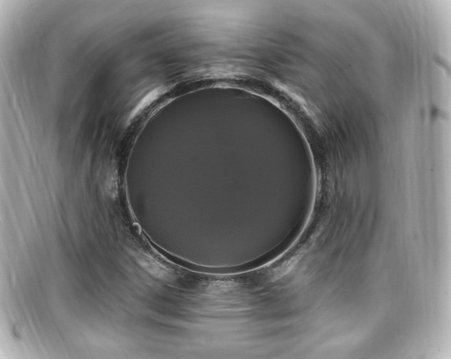 X0000099381306200805081437