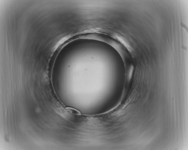X0000099381308200805081437