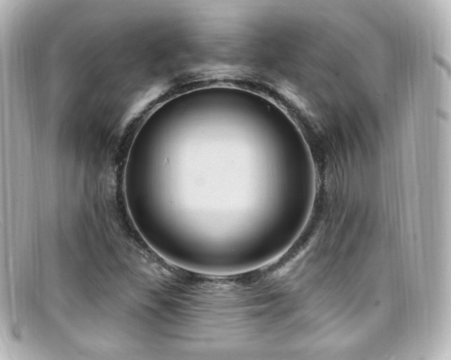X0000099381309200805081437