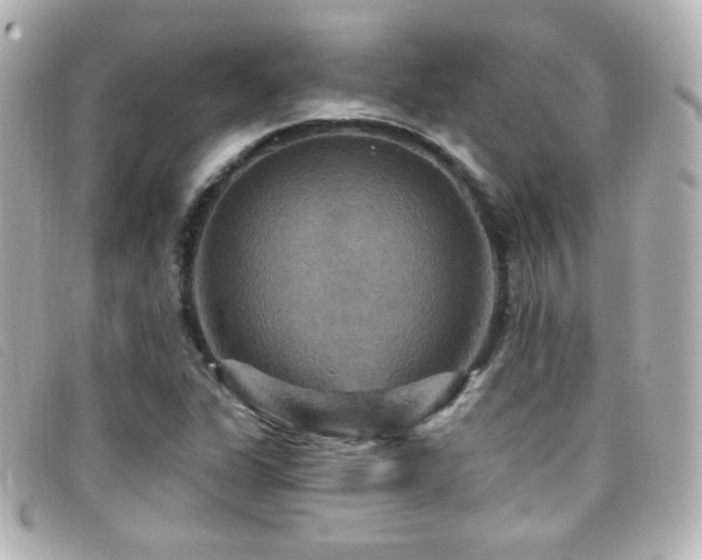X0000099381311200805081437